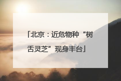 北京：近危物种“树舌灵芝”现身丰台