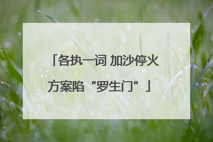 各执一词 加沙停火方案陷“罗生门”