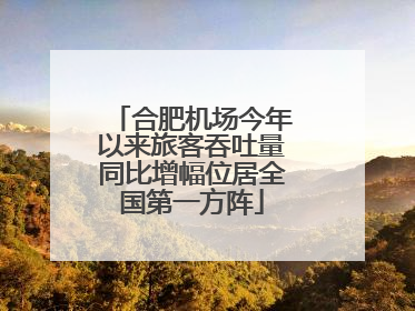 合肥机场今年以来旅客吞吐量同比增幅位居全国第一方阵