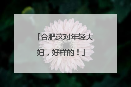 合肥这对年轻夫妇，好样的！