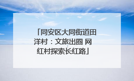 同安区大同街道田洋村：文旅出圈 网红村探索长红路