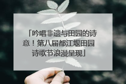 吟唱非遗与田园的诗意！第八届都江堰田园诗歌节浪漫呈现
