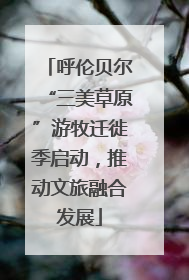 呼伦贝尔“三美草原”游牧迁徙季启动，推动文旅融合发展