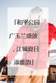 和平公园广玉兰盛放，江城夏日添雅韵