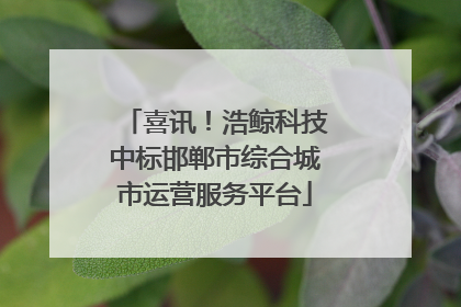 喜讯！浩鲸科技中标邯郸市综合城市运营服务平台