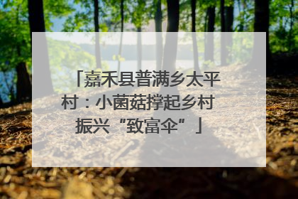 嘉禾县普满乡太平村：小菌菇撑起乡村振兴“致富伞”