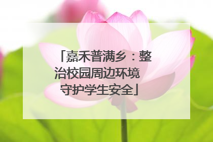 嘉禾普满乡：整治校园周边环境 守护学生安全