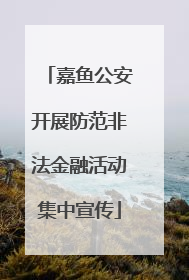 嘉鱼公安开展防范非法金融活动集中宣传