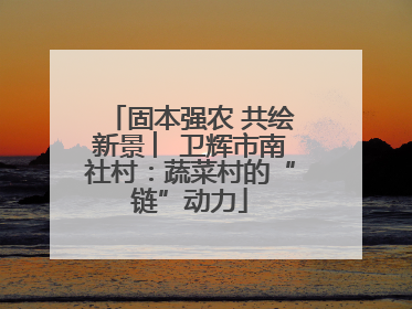 固本强农 共绘新景 ︳卫辉市南社村：蔬菜村的“链”动力