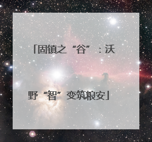 固镇之“谷”：沃野“智”变筑粮安