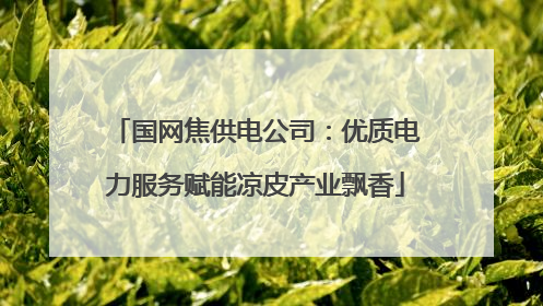 国网焦供电公司：优质电力服务赋能凉皮产业飘香