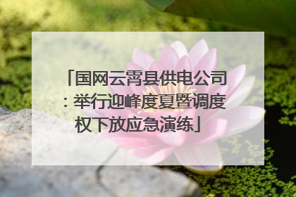 国网云霄县供电公司：举行迎峰度夏暨调度权下放应急演练