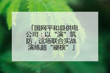 国网平和县供电公司：以“演”筑防，这场联合实战演练超“硬核”