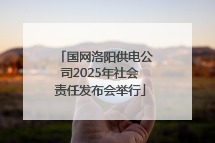 国网洛阳供电公司2025年社会责任发布会举行
