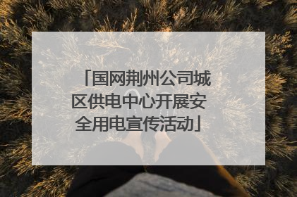 国网荆州公司城区供电中心开展安全用电宣传活动