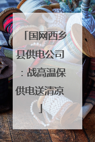 国网西乡县供电公司：战高温保供电送清凉