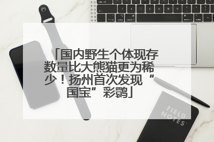 国内野生个体现存数量比大熊猫更为稀少！扬州首次发现“国宝”彩鹮