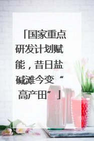国家重点研发计划赋能，昔日盐碱滩今变“高产田”