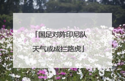 国足对阵印尼队 天气或成拦路虎