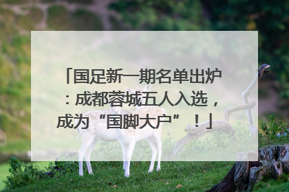 国足新一期名单出炉：成都蓉城五人入选，成为“国脚大户”！