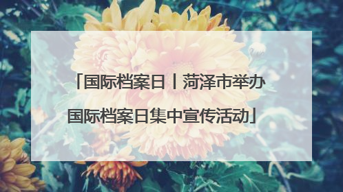 国际档案日丨菏泽市举办国际档案日集中宣传活动