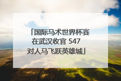 国际马术世界杯赛在武汉收官 547对人马飞跃英雄城