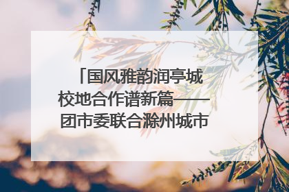 国风雅韵润亭城 校地合作谱新篇——团市委联合滁州城市职业学院助力传统文化“破圈”绽放