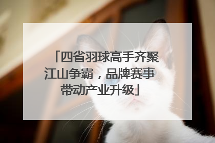 四省羽球高手齐聚江山争霸，品牌赛事带动产业升级