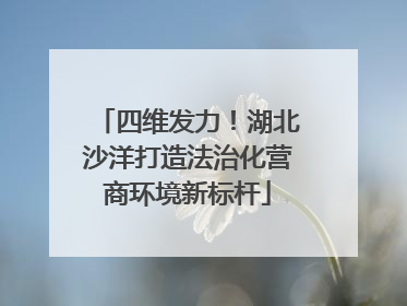 四维发力！湖北沙洋打造法治化营商环境新标杆