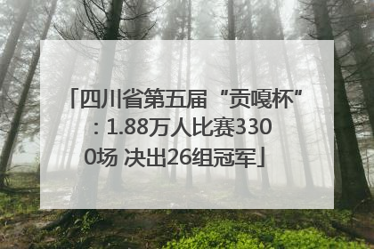 四川省第五届“贡嘎杯”：1.88万人比赛3300场 决出26组冠军