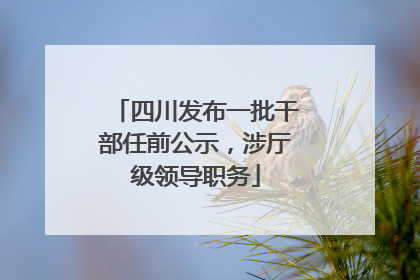 四川发布一批干部任前公示，涉厅级领导职务
