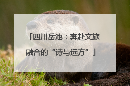 四川岳池：奔赴文旅融合的“诗与远方”
