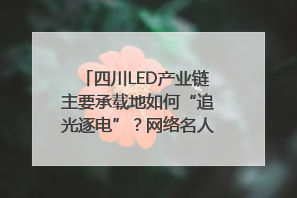 四川LED产业链主要承载地如何“追光逐电”？网络名人走进攀枝花找答案｜网络名人四川行