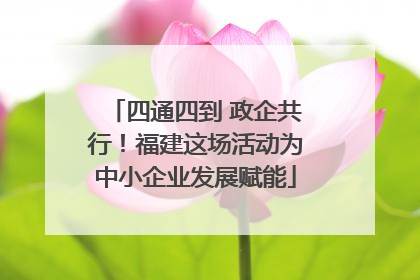 四通四到 政企共行！福建这场活动为中小企业发展赋能