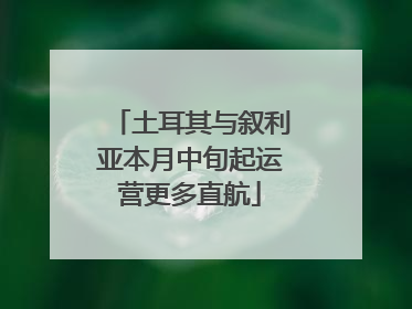 土耳其与叙利亚本月中旬起运营更多直航