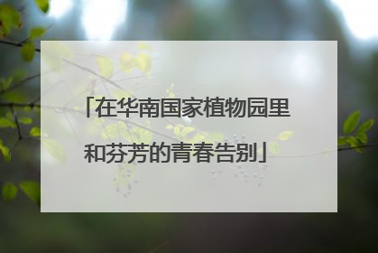 在华南国家植物园里和芬芳的青春告别
