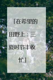 在希望的田野上：三夏时节丰收忙