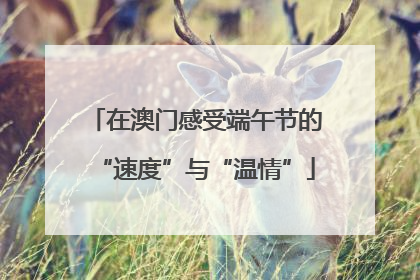 在澳门感受端午节的“速度”与“温情”