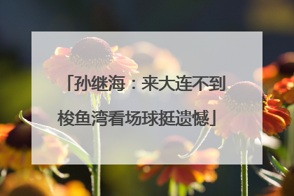 孙继海：来大连不到梭鱼湾看场球挺遗憾
