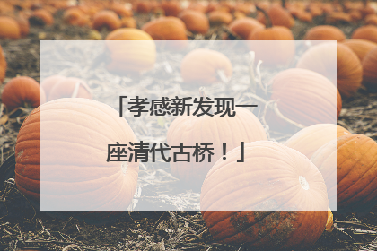 孝感新发现一座清代古桥！