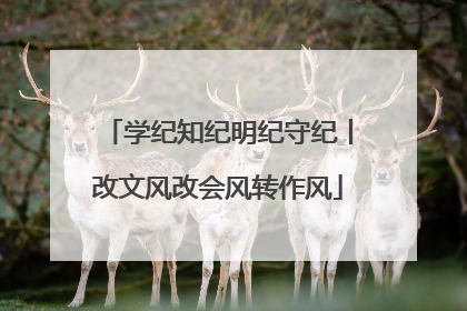 学纪知纪明纪守纪丨改文风改会风转作风