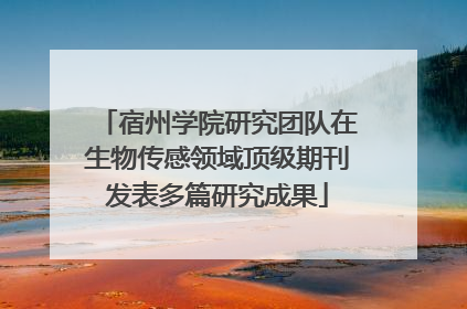 宿州学院研究团队在生物传感领域顶级期刊发表多篇研究成果