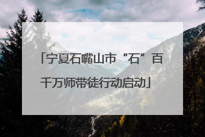 宁夏石嘴山市“石”百千万师带徒行动启动