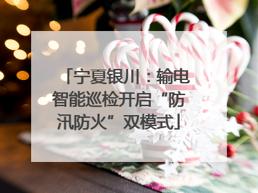 宁夏银川：输电智能巡检开启“防汛防火”双模式