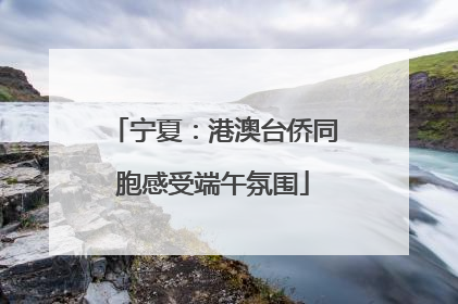 宁夏：港澳台侨同胞感受端午氛围