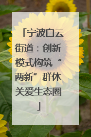 宁波白云街道：创新模式构筑“两新”群体关爱生态圈