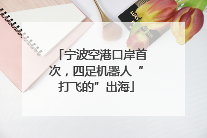 宁波空港口岸首次，四足机器人“打飞的”出海
