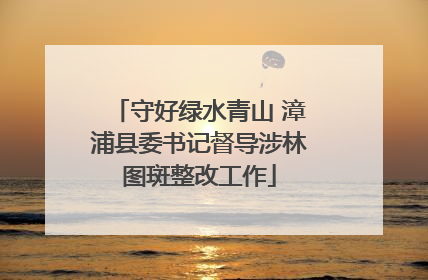 守好绿水青山 漳浦县委书记督导涉林图斑整改工作