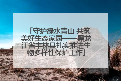 守护绿水青山 共筑美好生态家园——黑龙江省丰林县扎实推进生物多样性保护工作