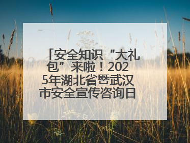安全知识“大礼包”来啦！2025年湖北省暨武汉市安全宣传咨询日活动在汉举行